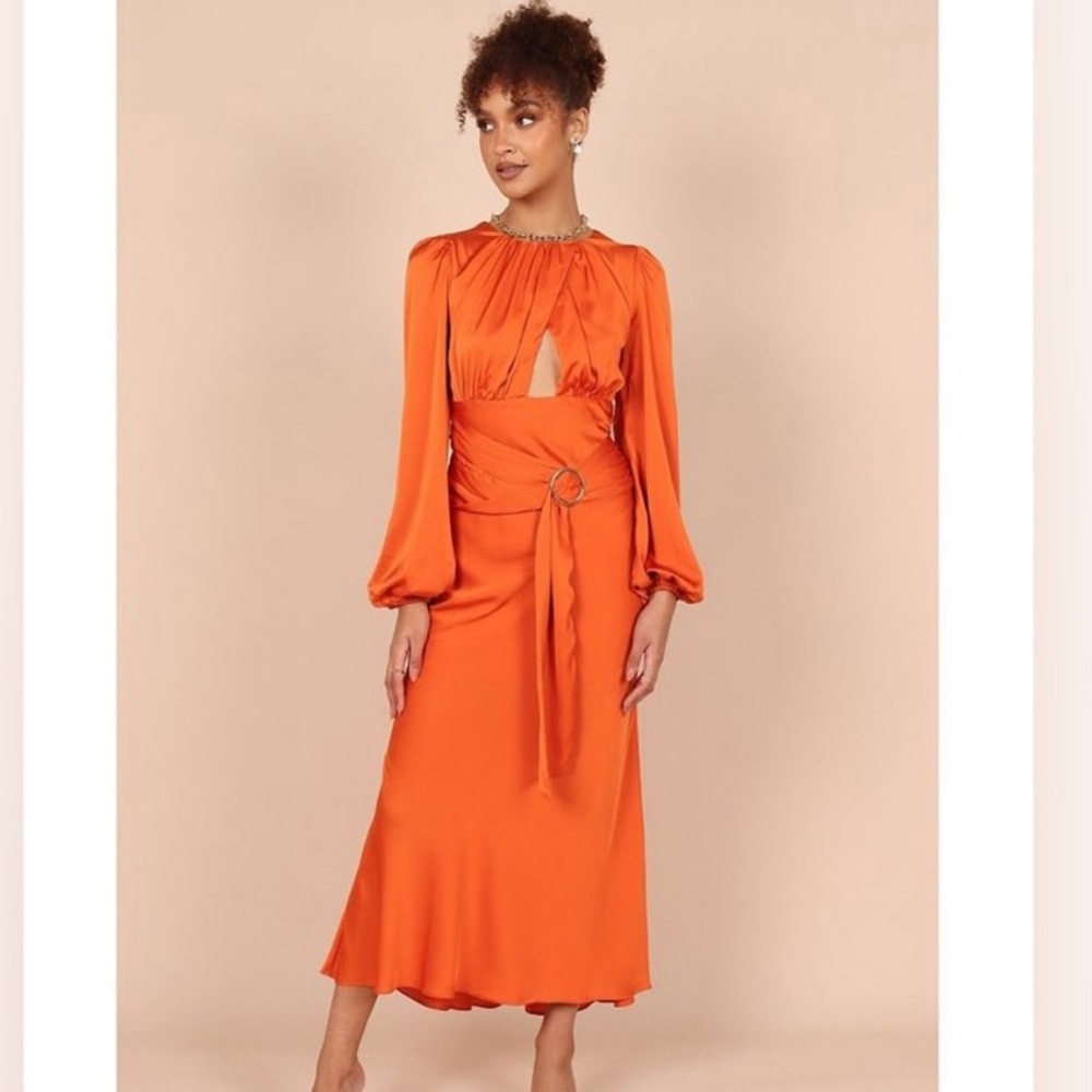 Petal and Pup Midi Dress